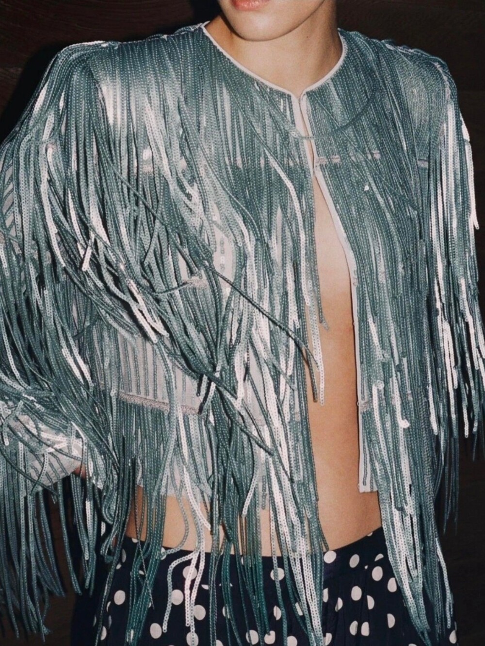 Sz S M ZARA 2026 ZW Collection Silver Grey Sequin Fringe Jacket 3210/040 Trendy